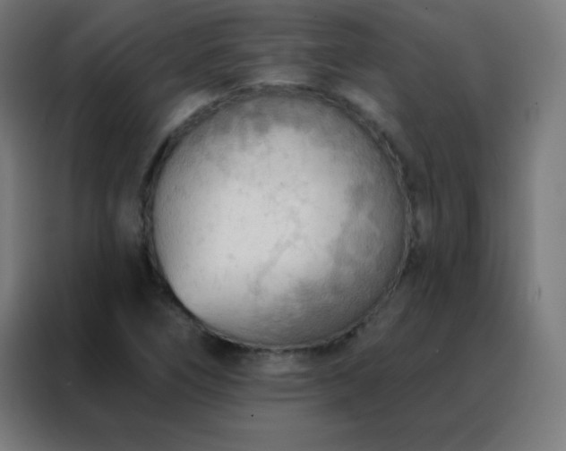 X0000088221266200705221756