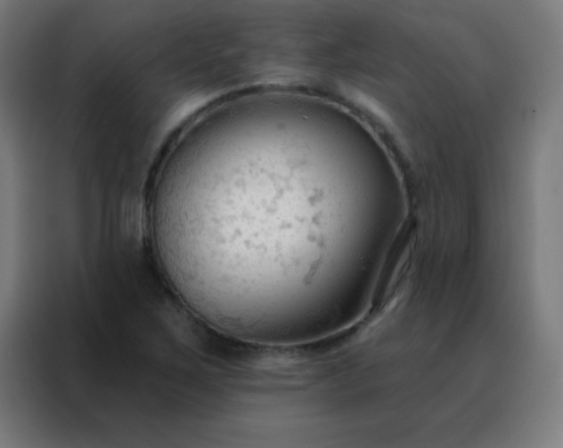 X0000088221267200705221756