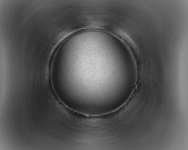 X0000088221268200705221756