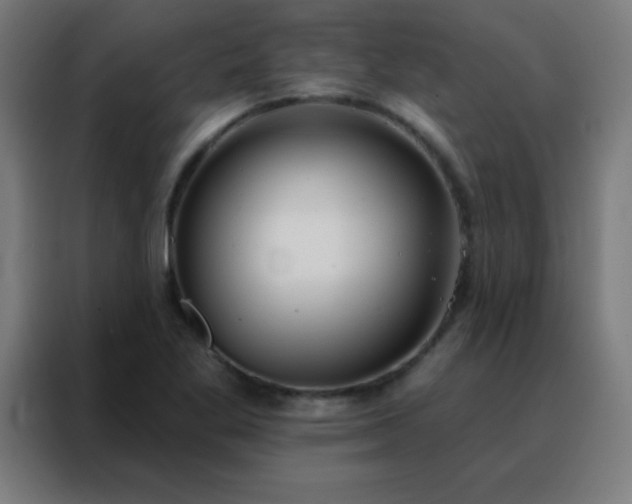 X0000088221269200705221756