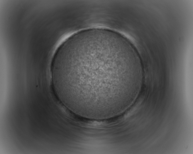 X0000088221271200705221756