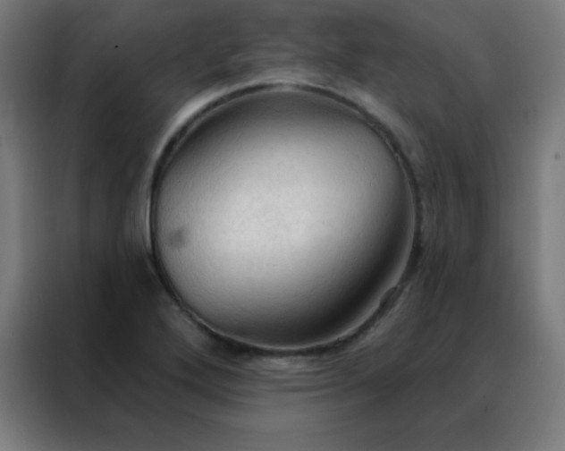 X0000088221272200705221756