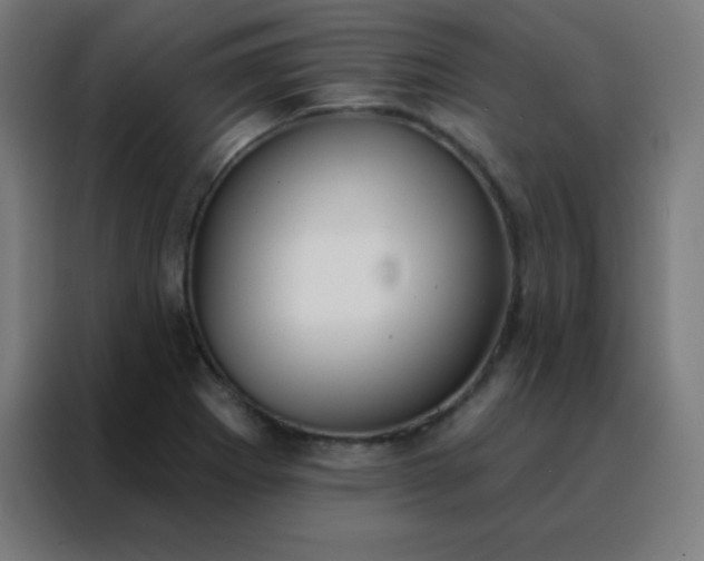 X0000088221273200705221756