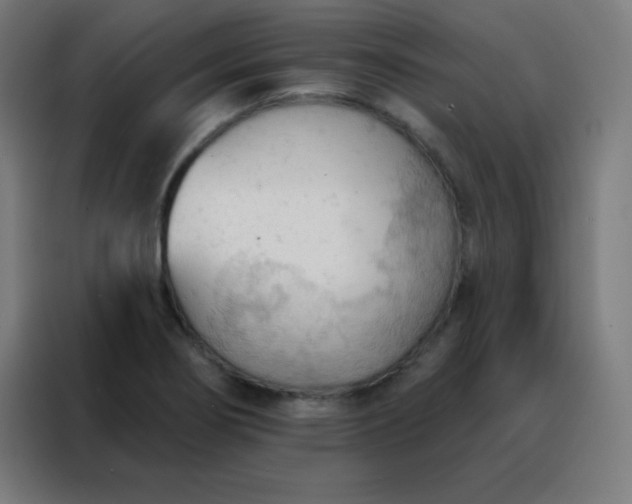 X0000088221274200705221756