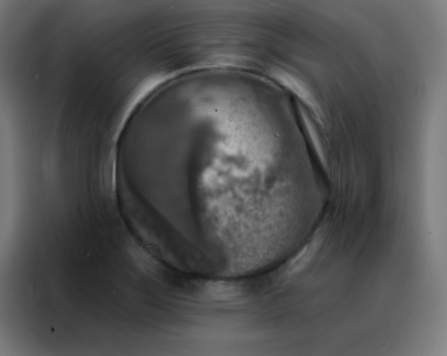 X0000088221275200705221756