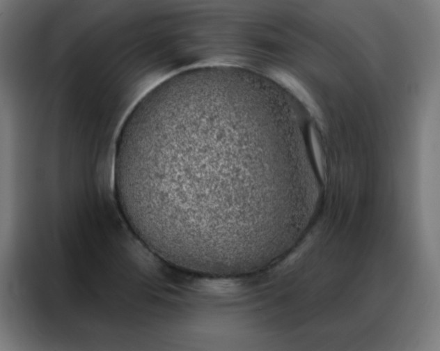 X0000088221276200705221756