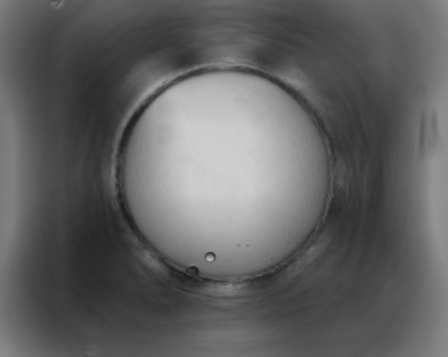 X0000088221278200705221756