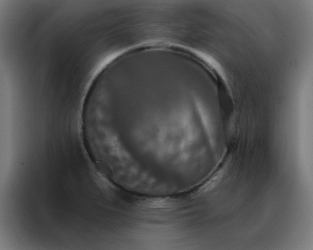 X0000088221279200705221756