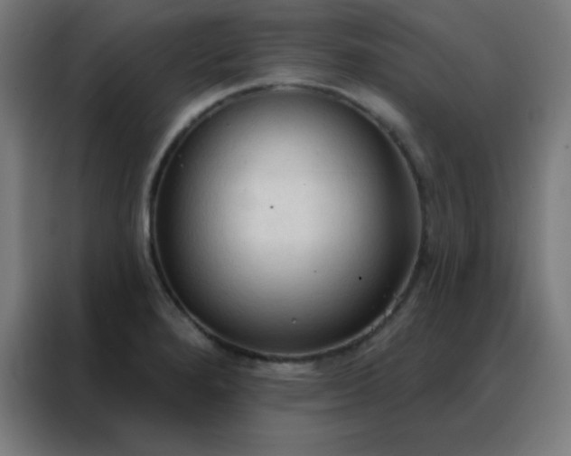 X0000088221280200705221756