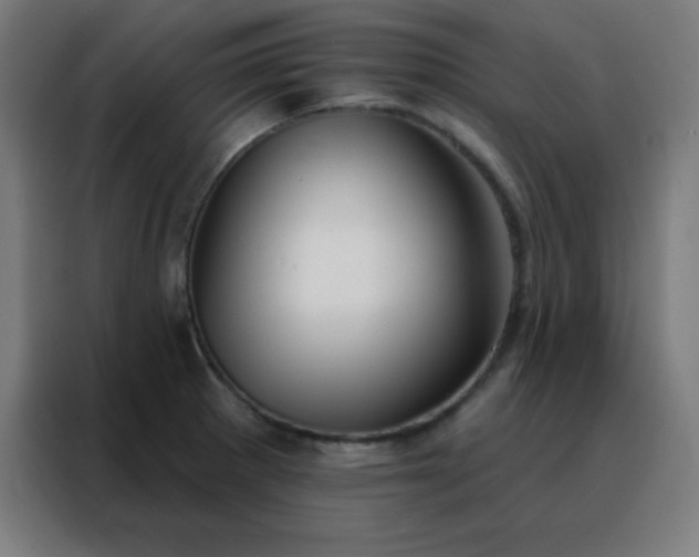 X0000088221281200705221756