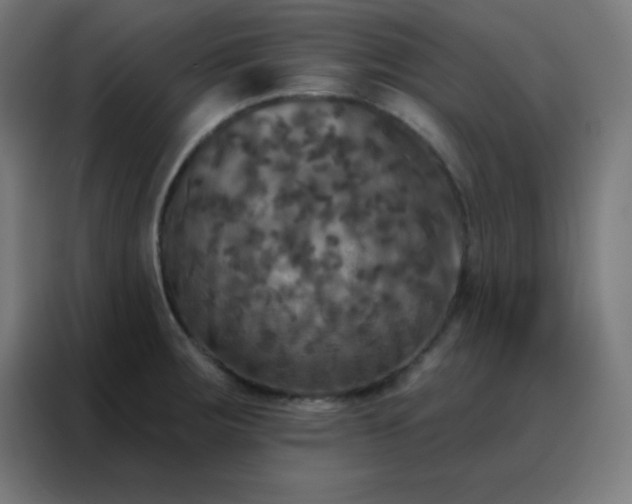 X0000088221283200705221756