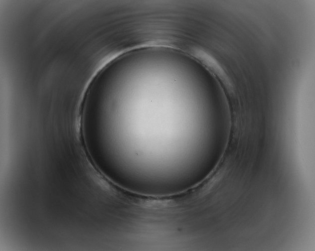 X0000088221284200705221756