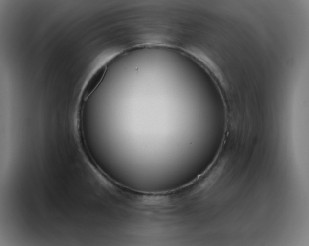 X0000088221285200705221756