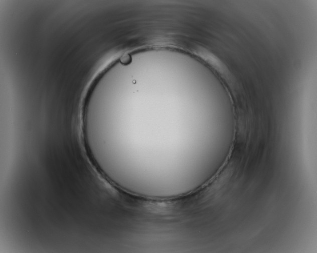 X0000088221286200705221756