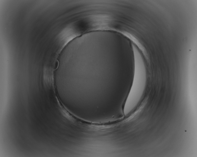 X0000088221289200705221756