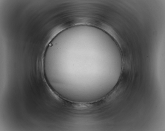 X0000088221290200705221756