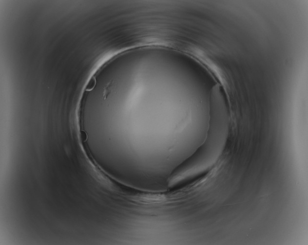 X0000088221291200705221756