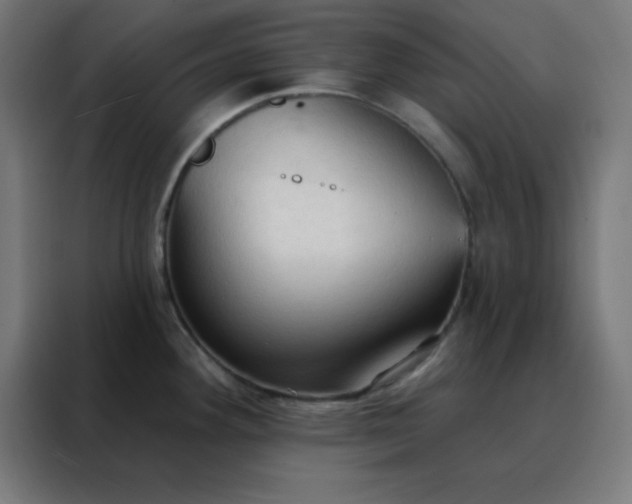 X0000088221292200705221756