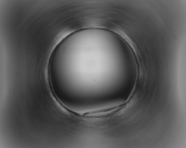 X0000088221293200705221756