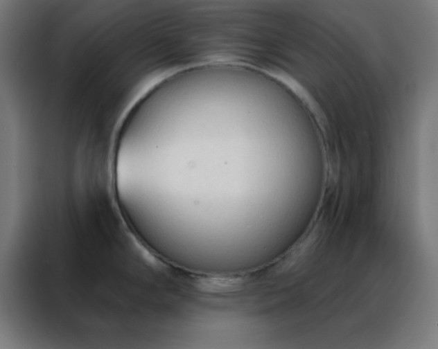 X0000088221294200705221756