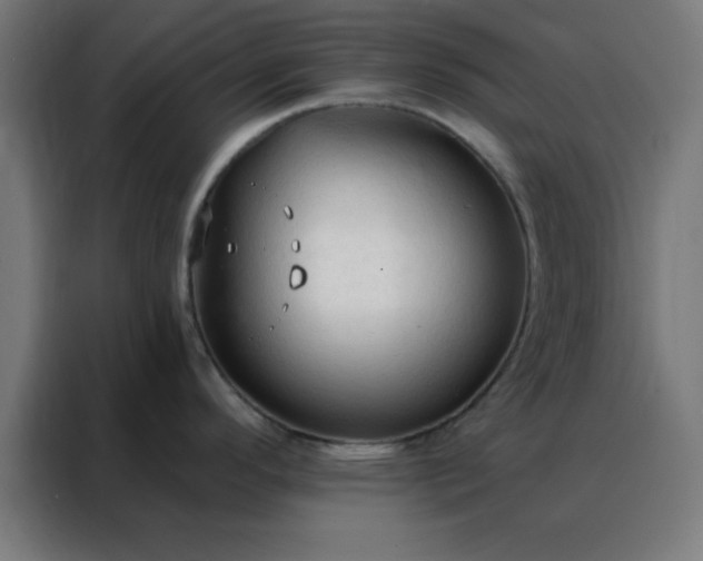 X0000088221296200705221756