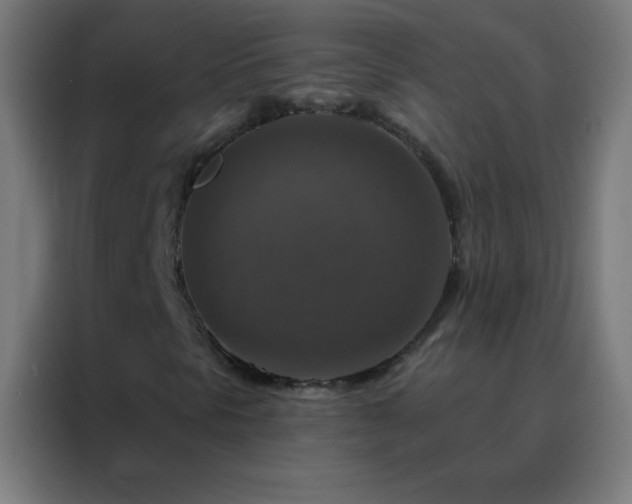 X0000088221297200705221755