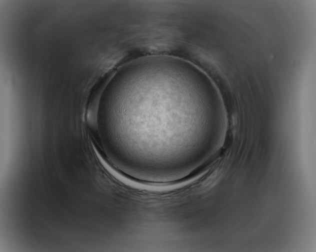 X0000088221300200705221755