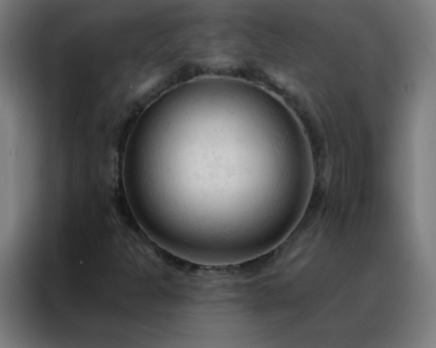 X0000088221301200705221755