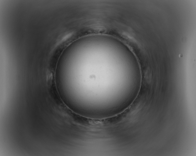 X0000088221302200705221755