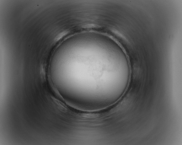 X0000088221305200705221755