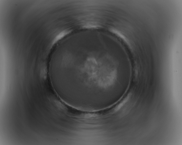 X0000088221306200705221755