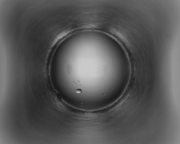 X0000088221308200705221755