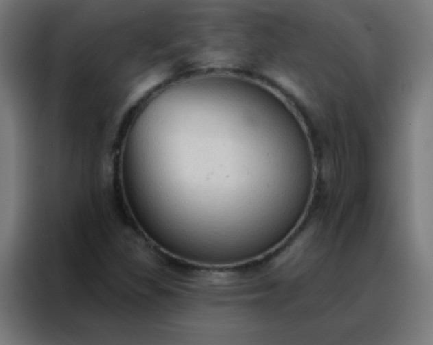 X0000088221309200705221755