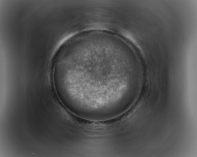 X0000088221312200705221755