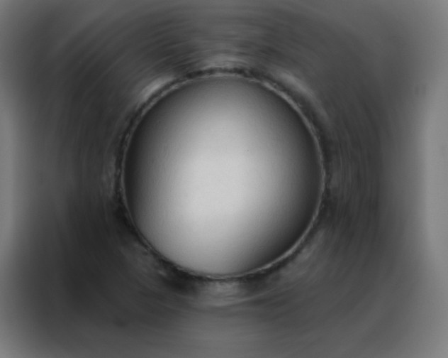 X0000088221313200705221755