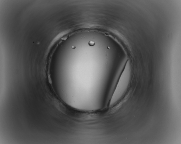 X0000088221314200705221755