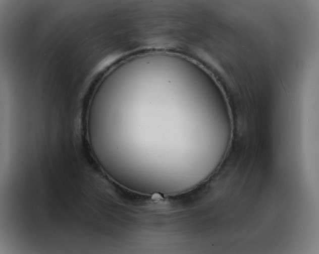 X0000088221315200705221755