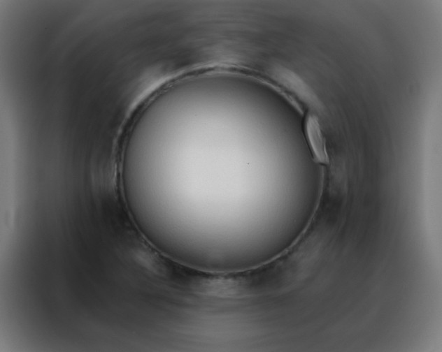 X0000088221316200705221755