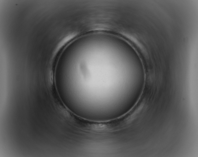 X0000088221317200705221756