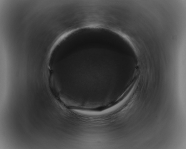 X0000088221319200705221756