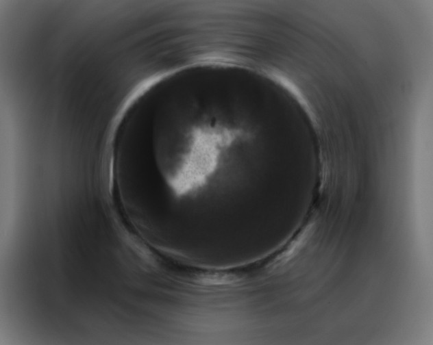 X0000088221323200705221756