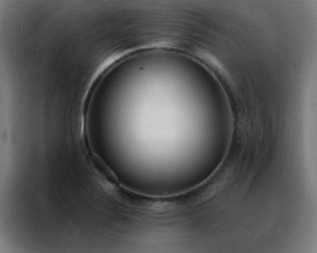 X0000088221324200705221756