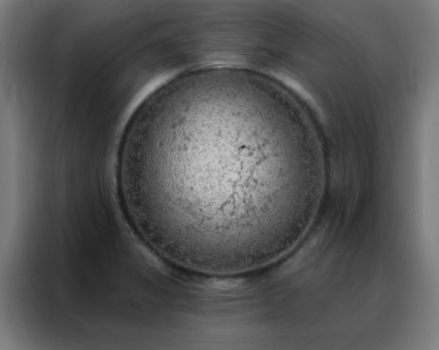 X0000088221325200705221756