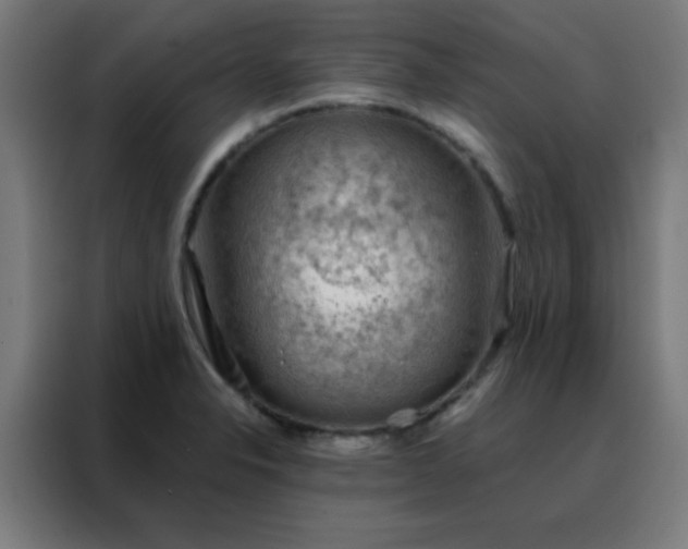 X0000088221326200705221756