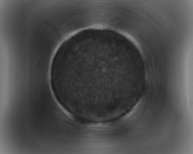 X0000088221327200705221756