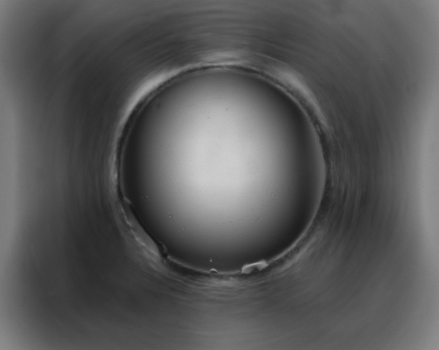 X0000088221328200705221756