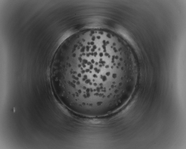 X0000088221329200705221756