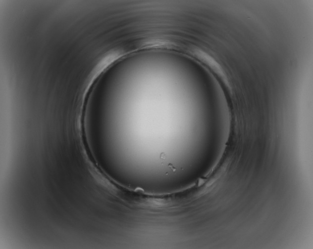 X0000088221330200705221756