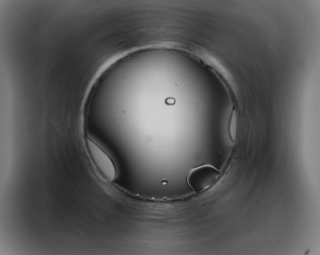 X0000088221332200705221756