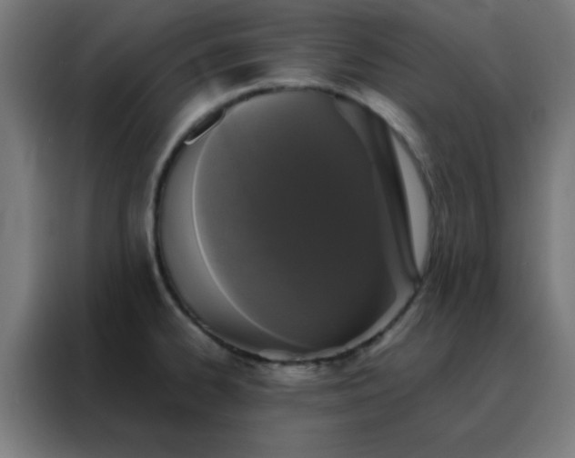 X0000088221334200705221756